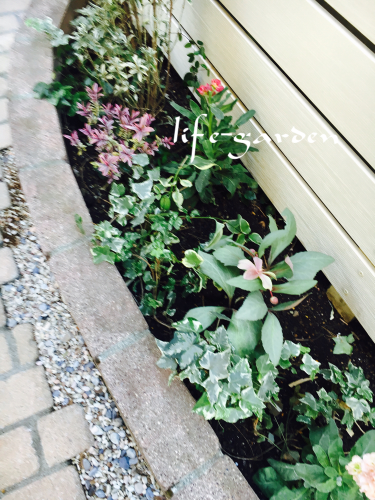 f:id:lif-g:20181221161921j:plain