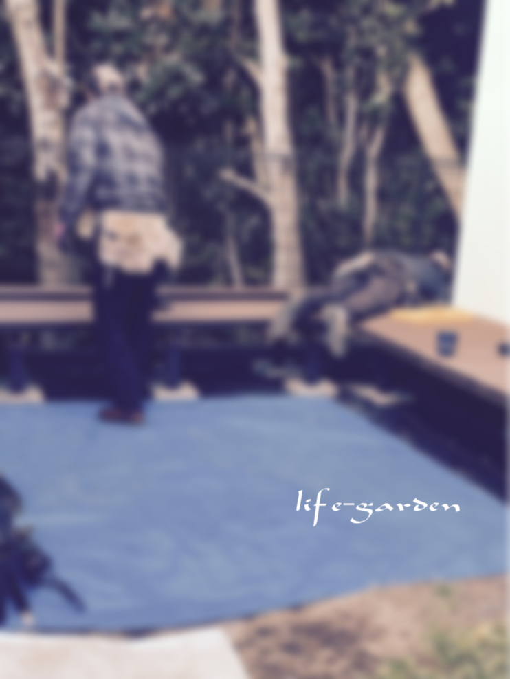 f:id:lif-g:20190220213647j:plain