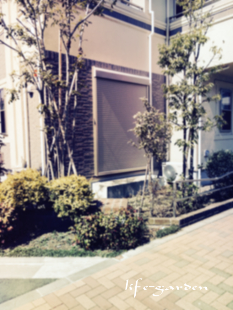 f:id:lif-g:20190320141428j:plain
