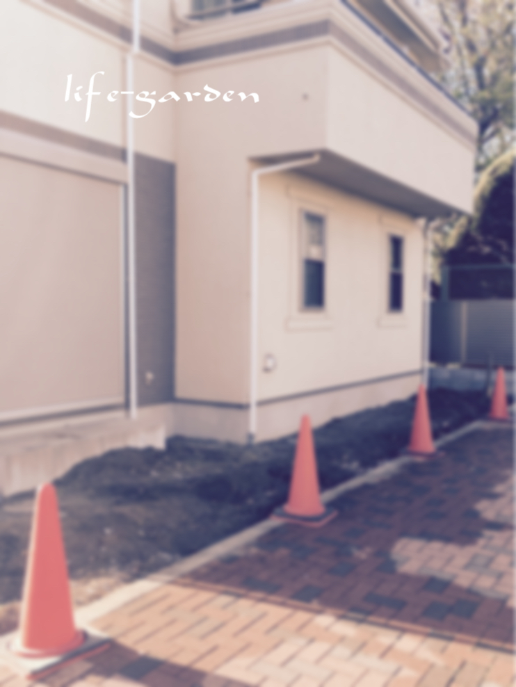 f:id:lif-g:20190415225310j:plain