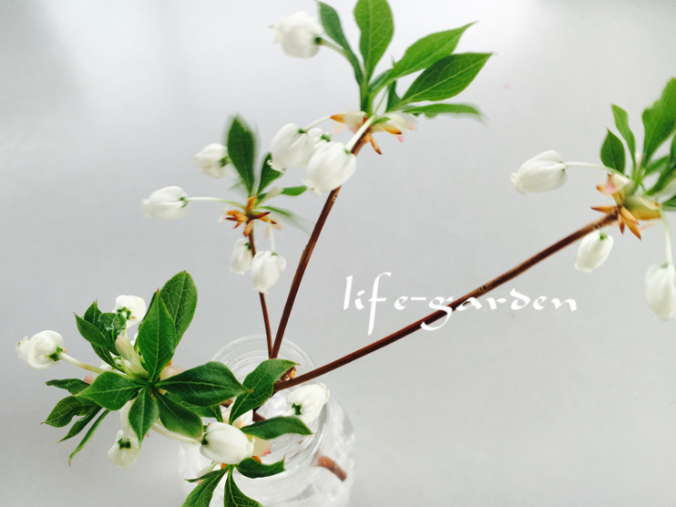 f:id:lif-g:20190418163052j:plain f:id:lif-g:20190418163052j:plain