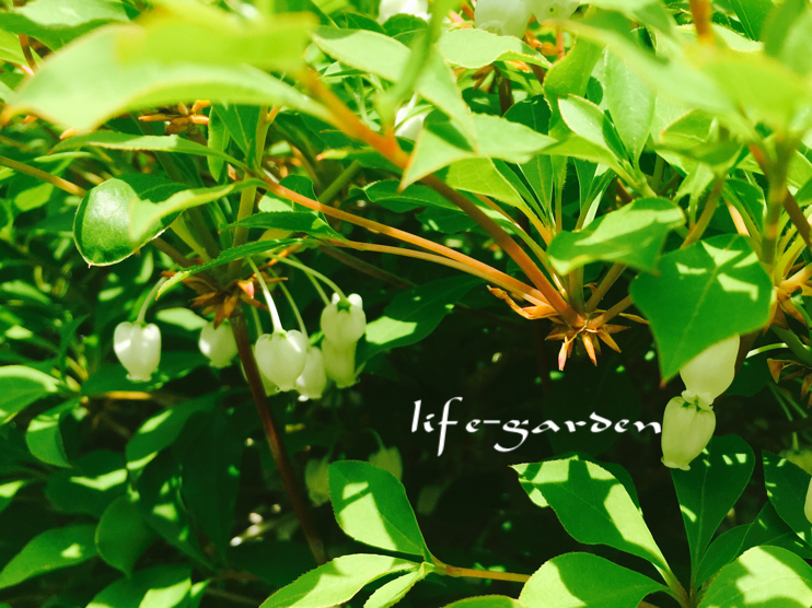 f:id:lif-g:20190423114259j:plain