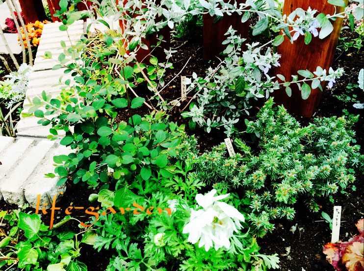 f:id:lif-g:20190426202858j:plain f:id:lif-g:20190426202858j:plain