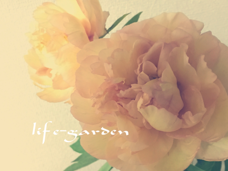 f:id:lif-g:20190528235811j:plain