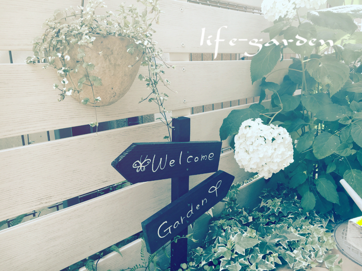 f:id:lif-g:20190621135230j:plain