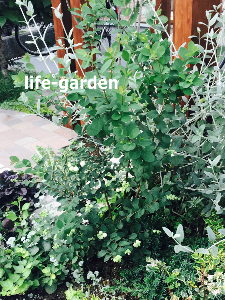 f:id:lif-g:20190725181916j:plain