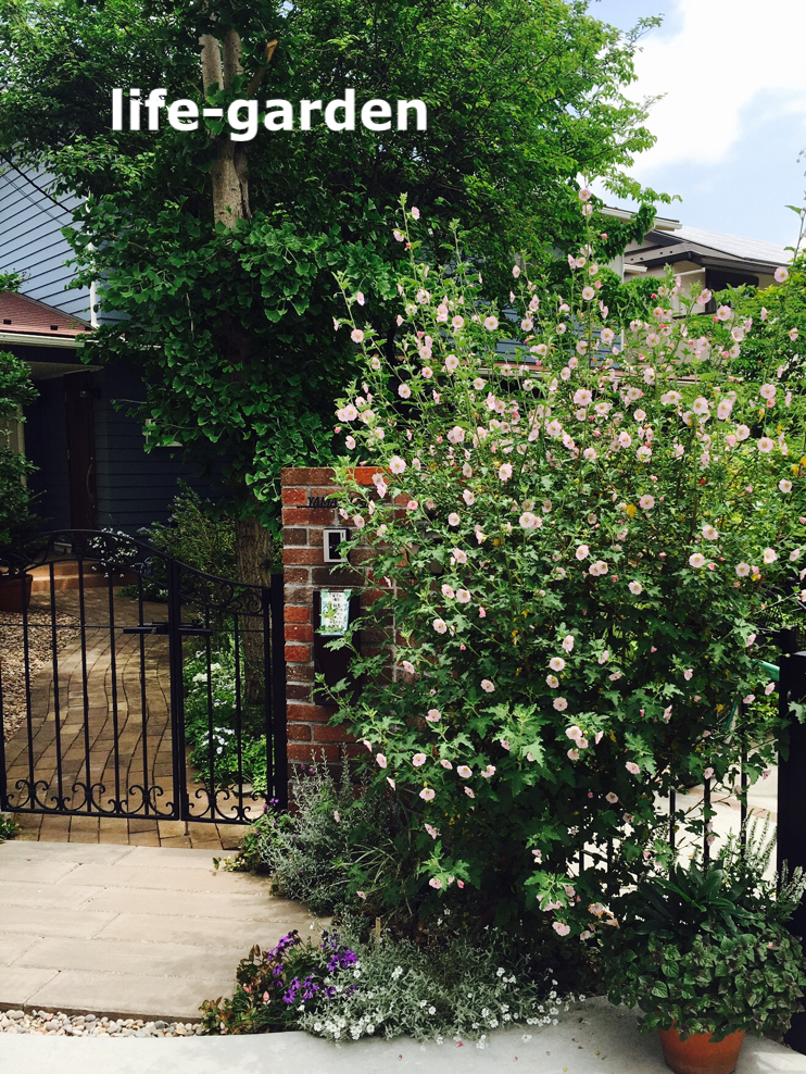 f:id:lif-g:20190726110842j:plain