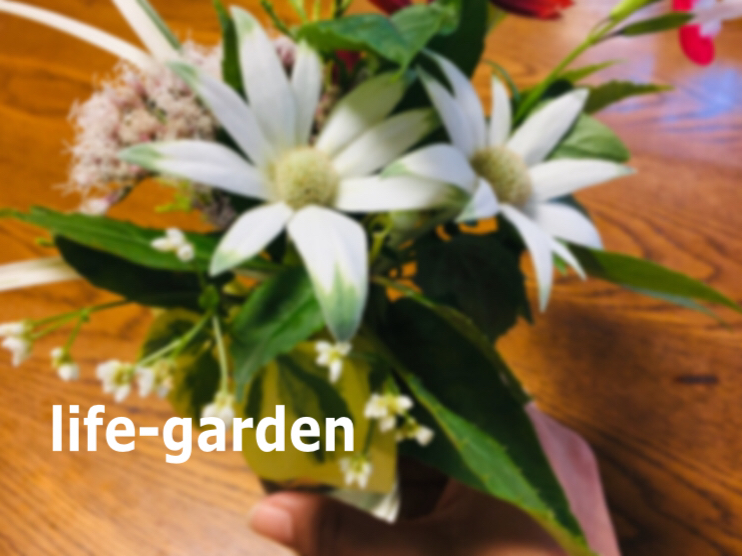 f:id:lif-g:20191106163401j:plain f:id:lif-g:20191106163401j:plain