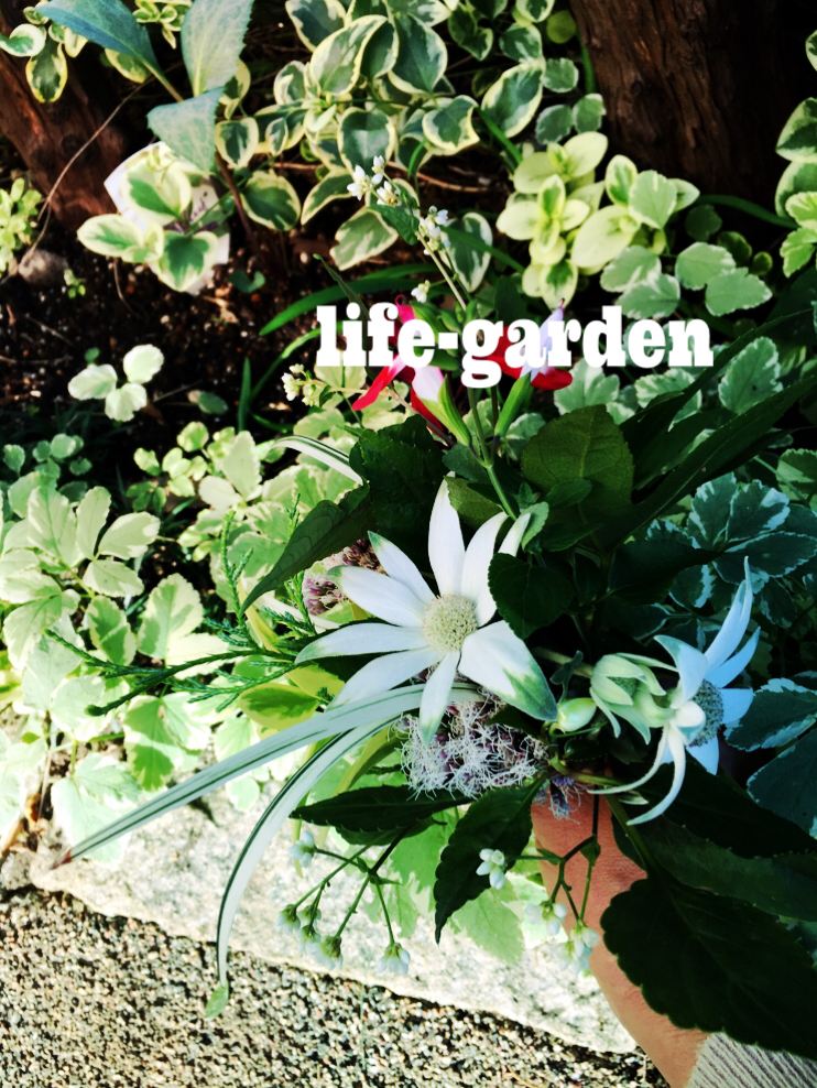 f:id:lif-g:20191106163406j:plain f:id:lif-g:20191106163406j:plain
