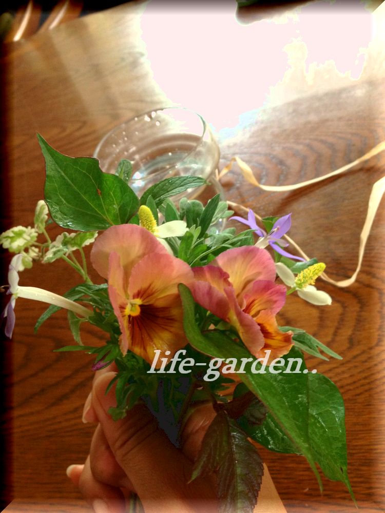 f:id:lif-g:20200222112825j:plain