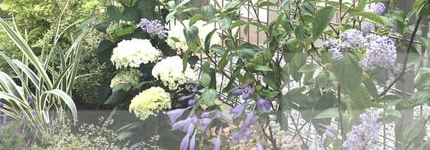 f:id:lif-g:20200305141344j:plain