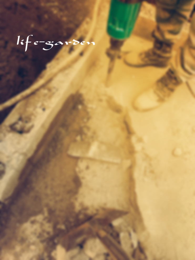 f:id:lif-g:20200409102912j:plain