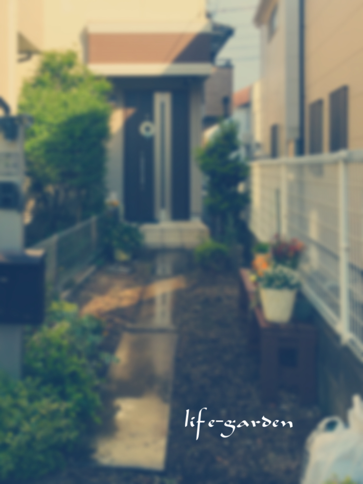 f:id:lif-g:20200501174117j:plain