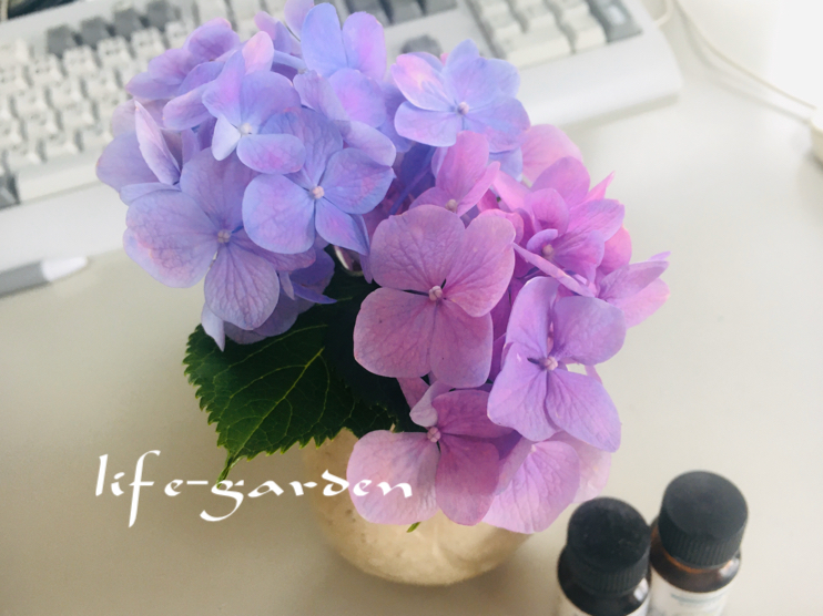f:id:lif-g:20200621144117j:plain f:id:lif-g:20200621144117j:plain