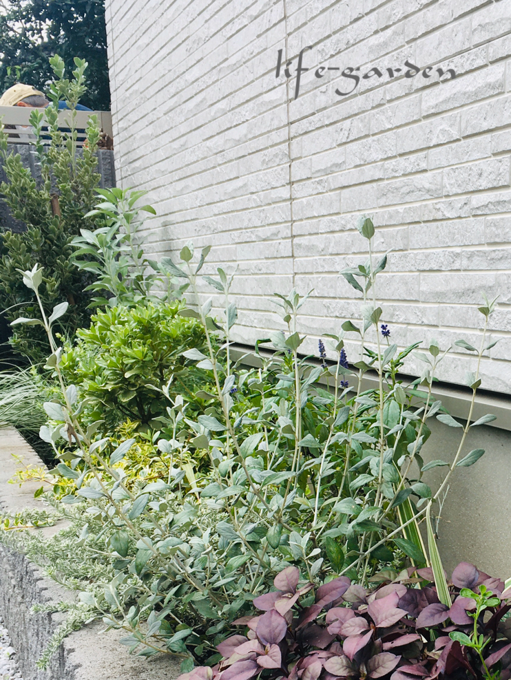 f:id:lif-g:20201015203245j:plain