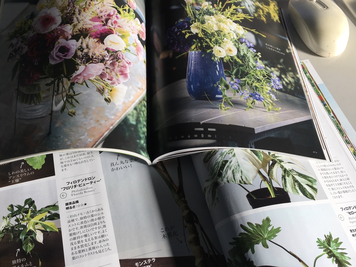 f:id:lif-g:20210206145056j:plain