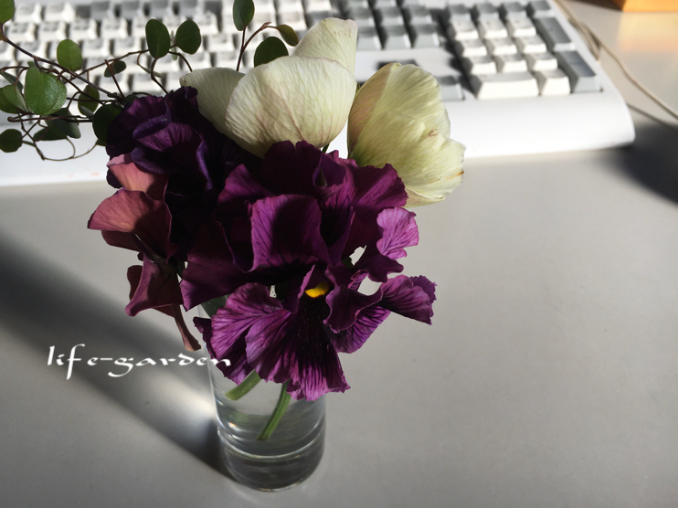 f:id:lif-g:20210208152302j:plain