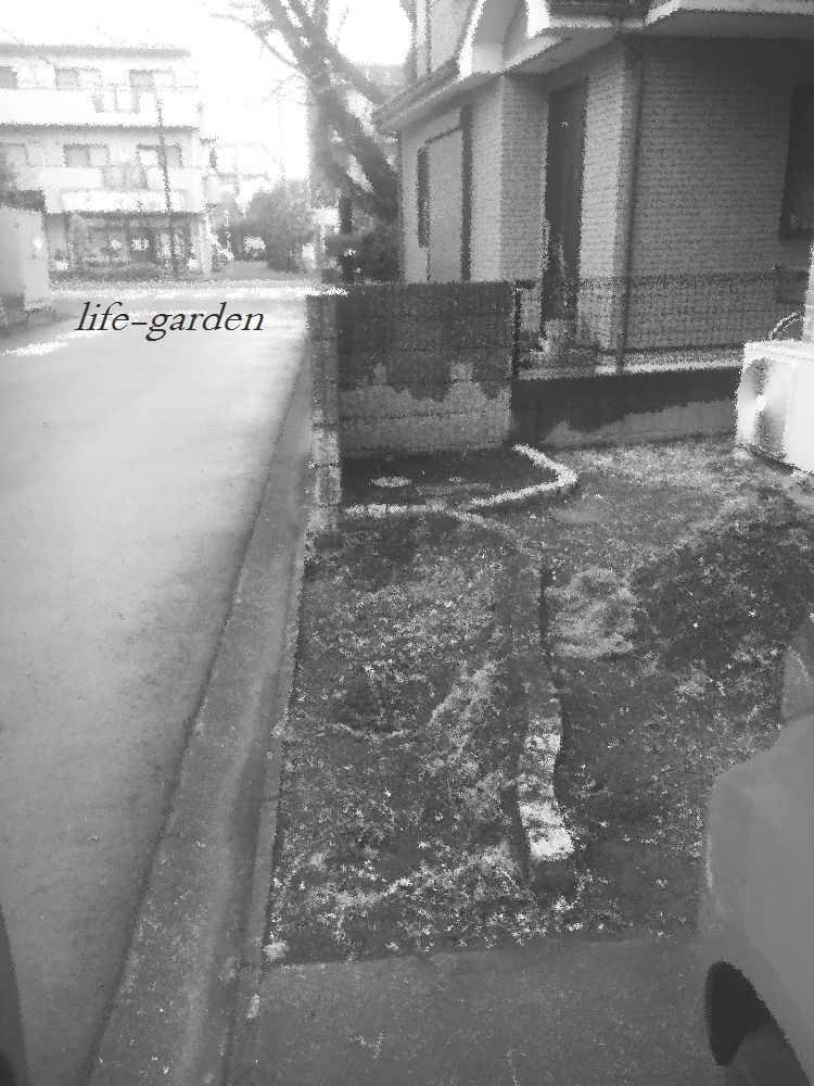 f:id:lif-g:20210210125858j:plain