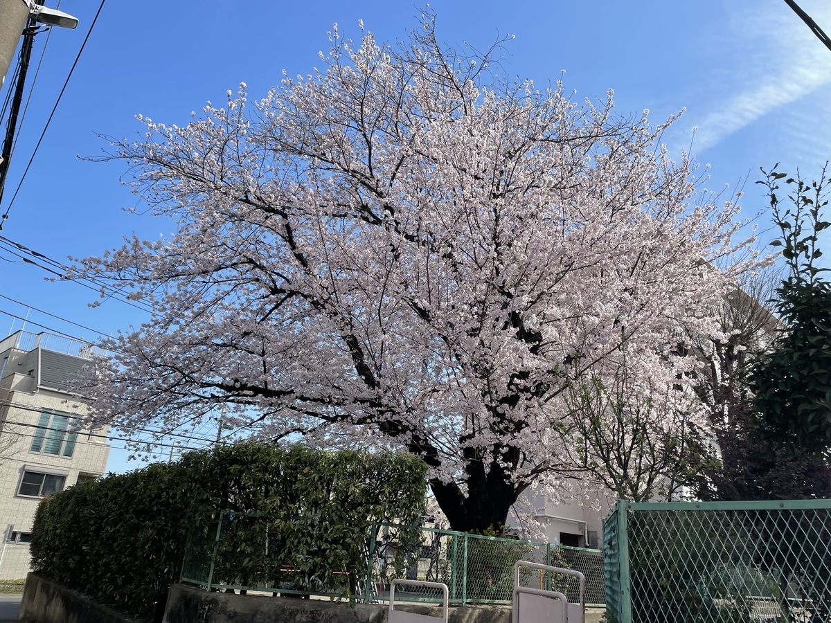 f:id:lif-g:20220403132057j:plain