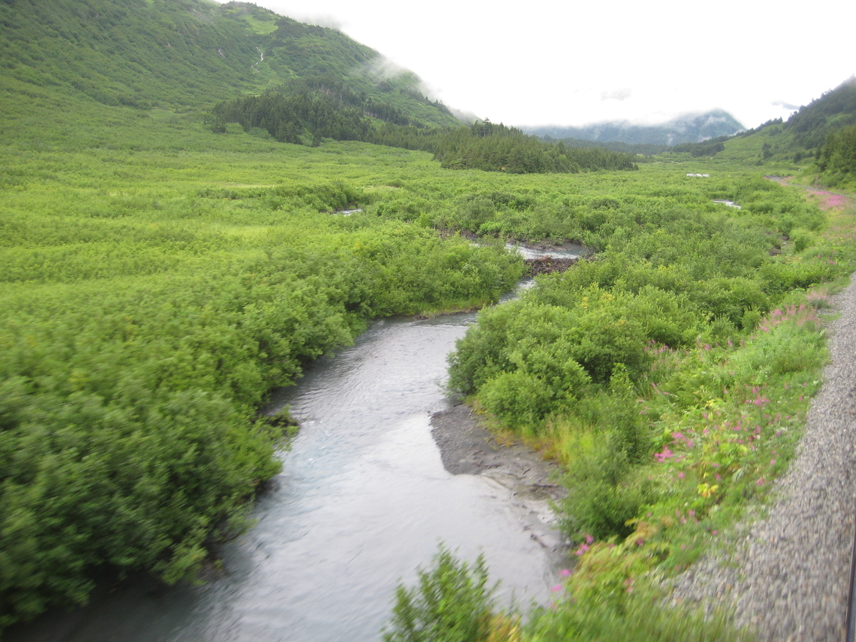 アラスカ 夏の大自然満喫の旅の添乗備忘録です またいつか再訪する時のために Life As A Guide 英語ガイドと海外添乗 My Life Is Like A Journey And The Journey Makes My Life