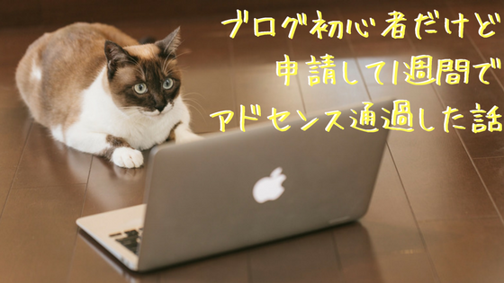 f:id:life-buffet:20170918211407p:plain f:id:life-buffet:20170918211407p:plain