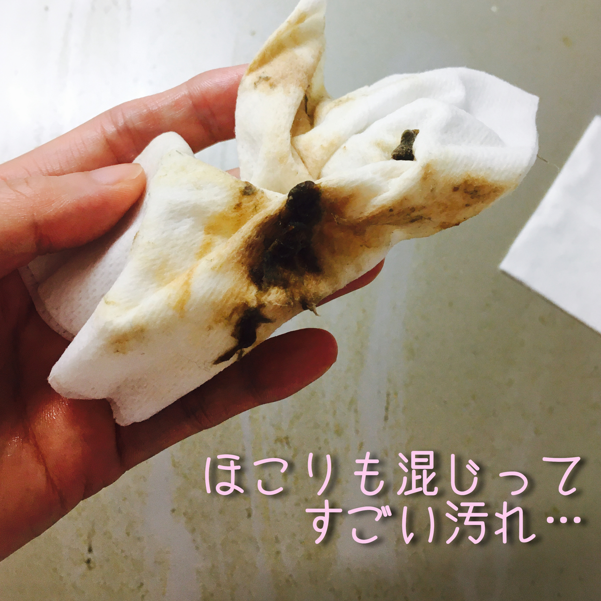 ノーリツレンジフードクララ お掃除
