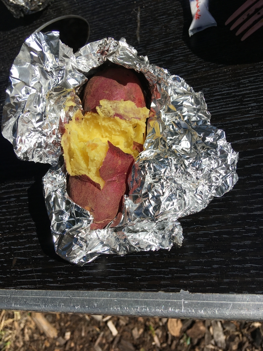 手ぶら公園BBQ