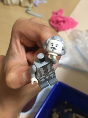 レゴハリーポッターホグワーツの大広間(75954) 遊び方