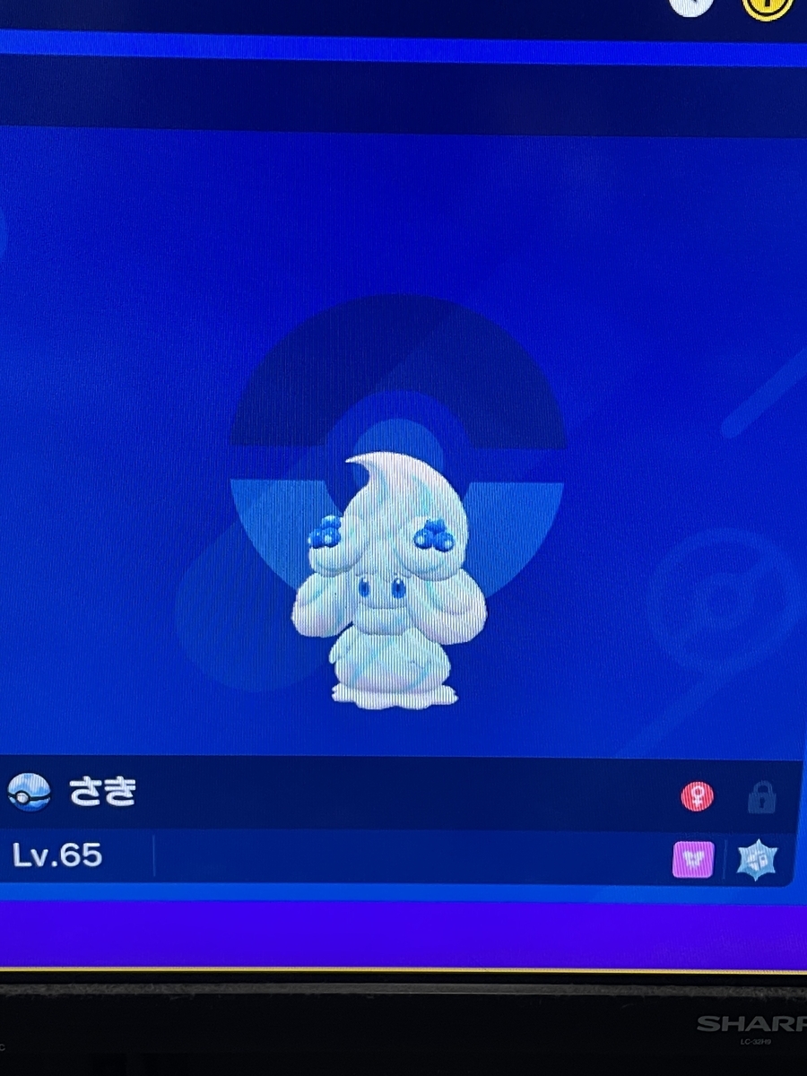 ぶちかませ】第二回芋煮杯オフ優勝RTA全一達成レポート【山形県にゴールドラッシュ】 - 10n-1で長生き, image size:900x1200