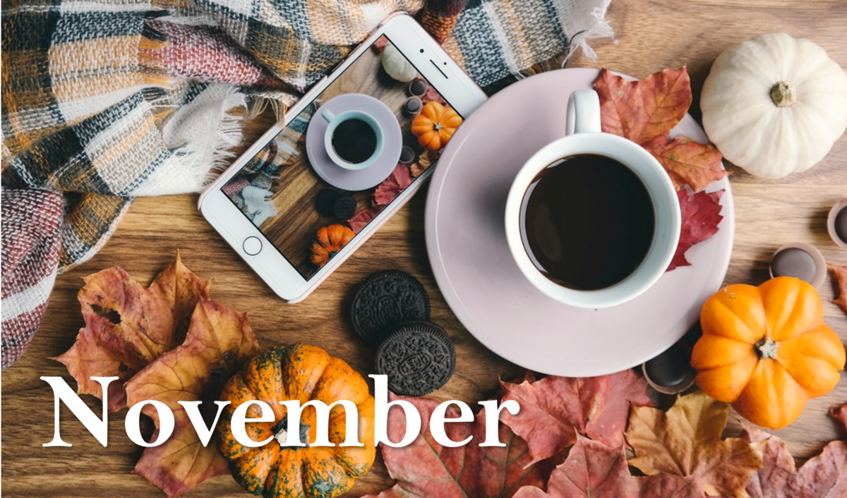 f:id:lifeblogs:20201120125759p:plain