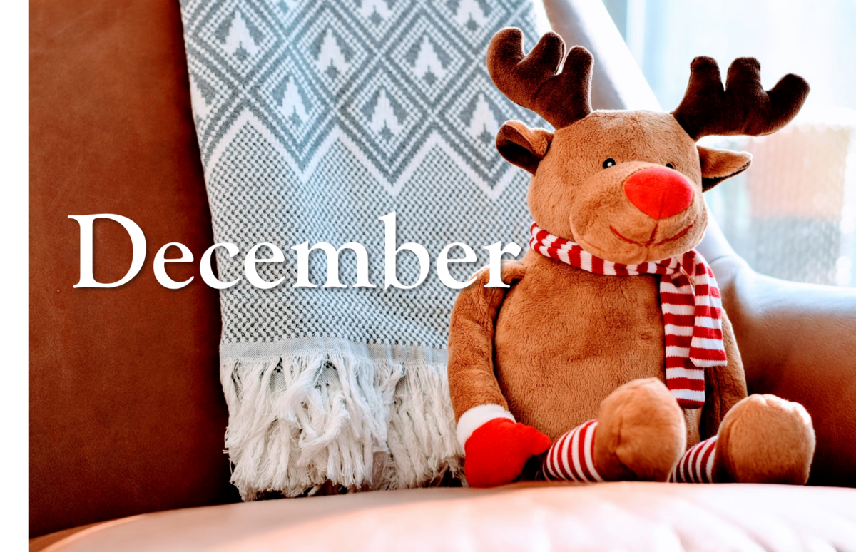 f:id:lifeblogs:20201215172406p:plain