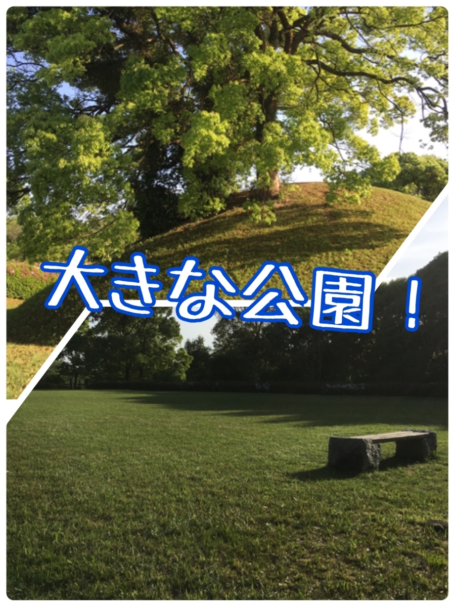 f:id:lifecaretamana:20190625163246j:plain f:id:lifecaretamana:20190625163246j:plain