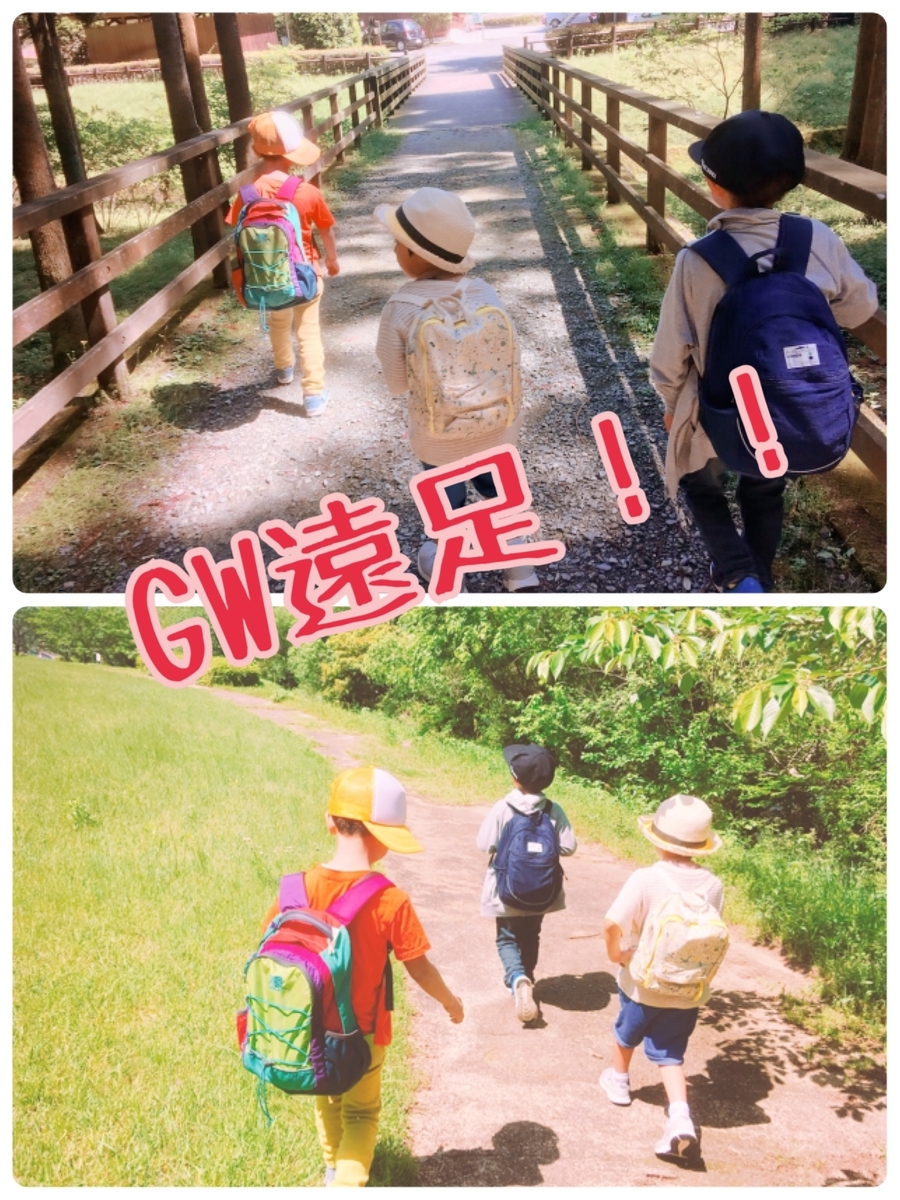 f:id:lifecaretamana:20190625163335j:plain f:id:lifecaretamana:20190625163335j:plain