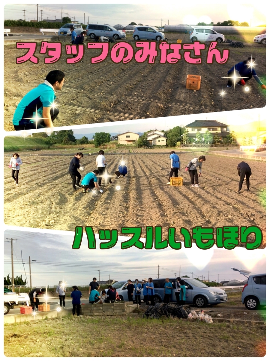f:id:lifecaretamana:20190629114512j:plain f:id:lifecaretamana:20190629114512j:plain