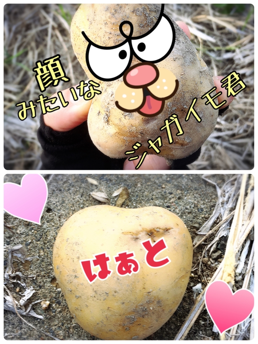 f:id:lifecaretamana:20190629114936j:plain f:id:lifecaretamana:20190629114936j:plain