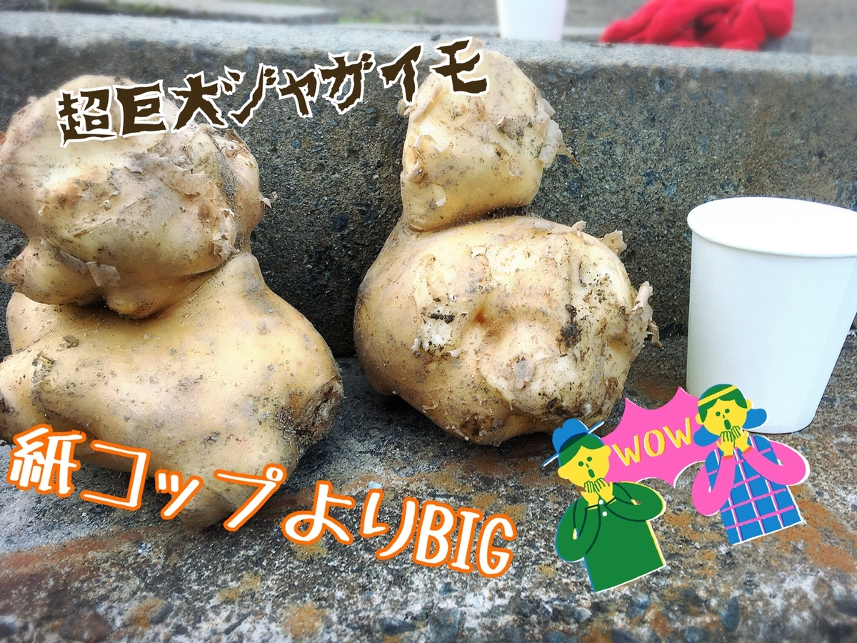 f:id:lifecaretamana:20190629114953j:plain f:id:lifecaretamana:20190629114953j:plain