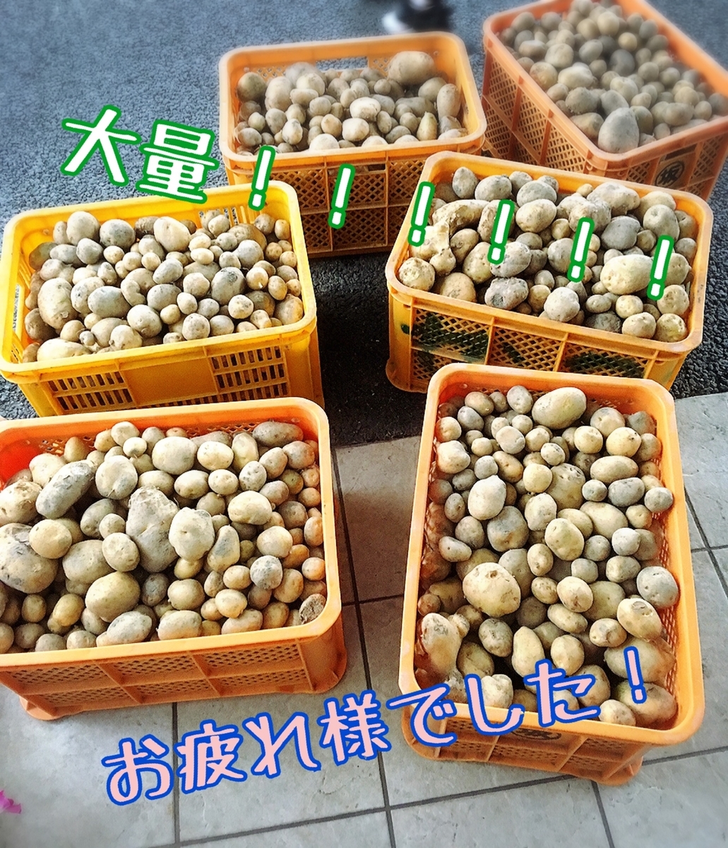 f:id:lifecaretamana:20190629115317j:plain f:id:lifecaretamana:20190629115317j:plain