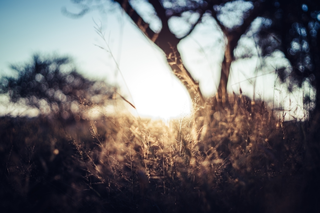 f:id:lifechanger:20190121201504j:plain f:id:lifechanger:20190121201504j:plain