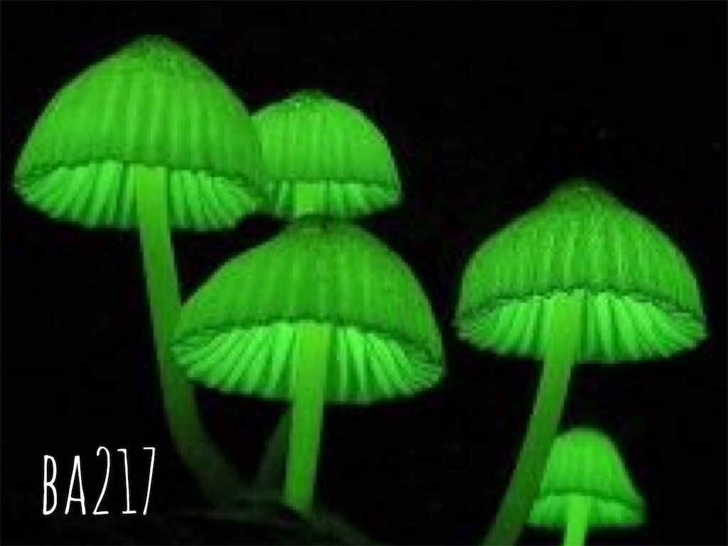 Japan glowing mushrooms pics Life is happy...right?