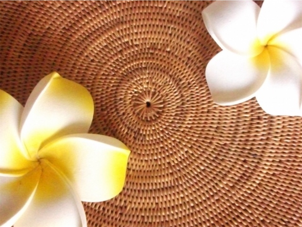 f:id:lifeishappy_right:20201028191520j:image f:id:lifeishappy_right:20201028191520j:image
