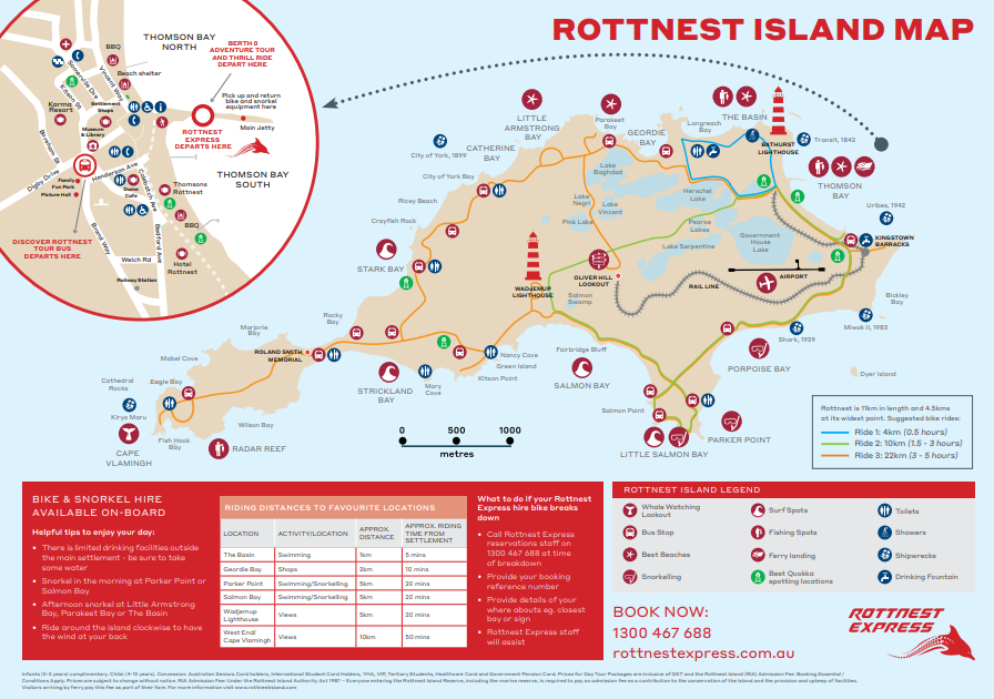 f:id:lifeishappy_right:20201102194622p:plain