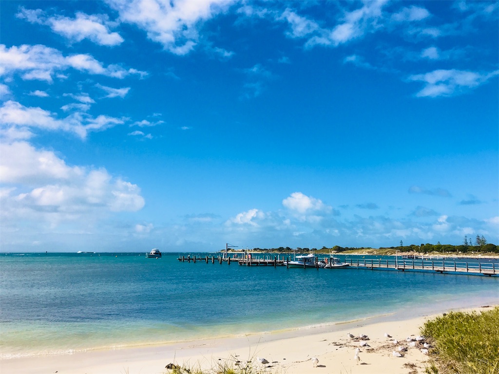 f:id:lifeishappy_right:20201103113327j:image