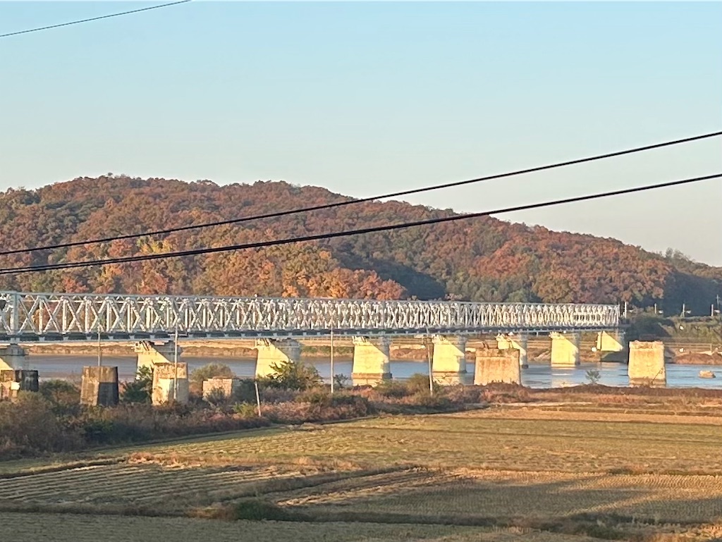 f:id:lifeishappy_right:20250119170355j:image