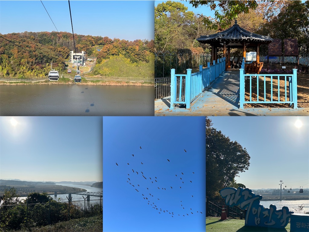 f:id:lifeishappy_right:20250119185921j:image