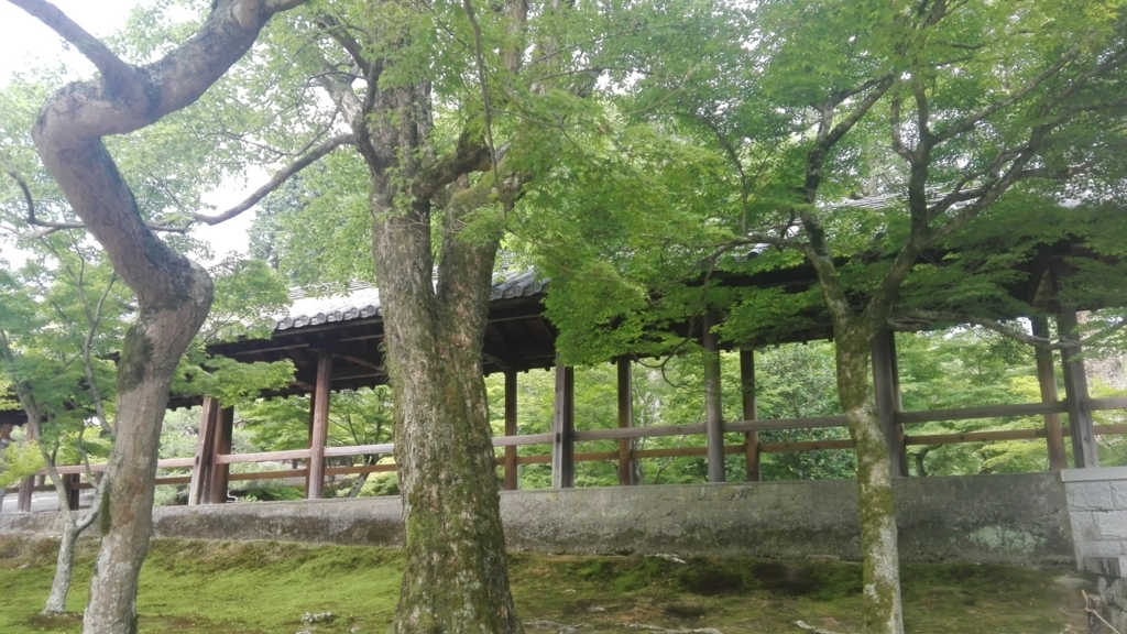 f:id:lifeisooo:20180608142738j:plain
