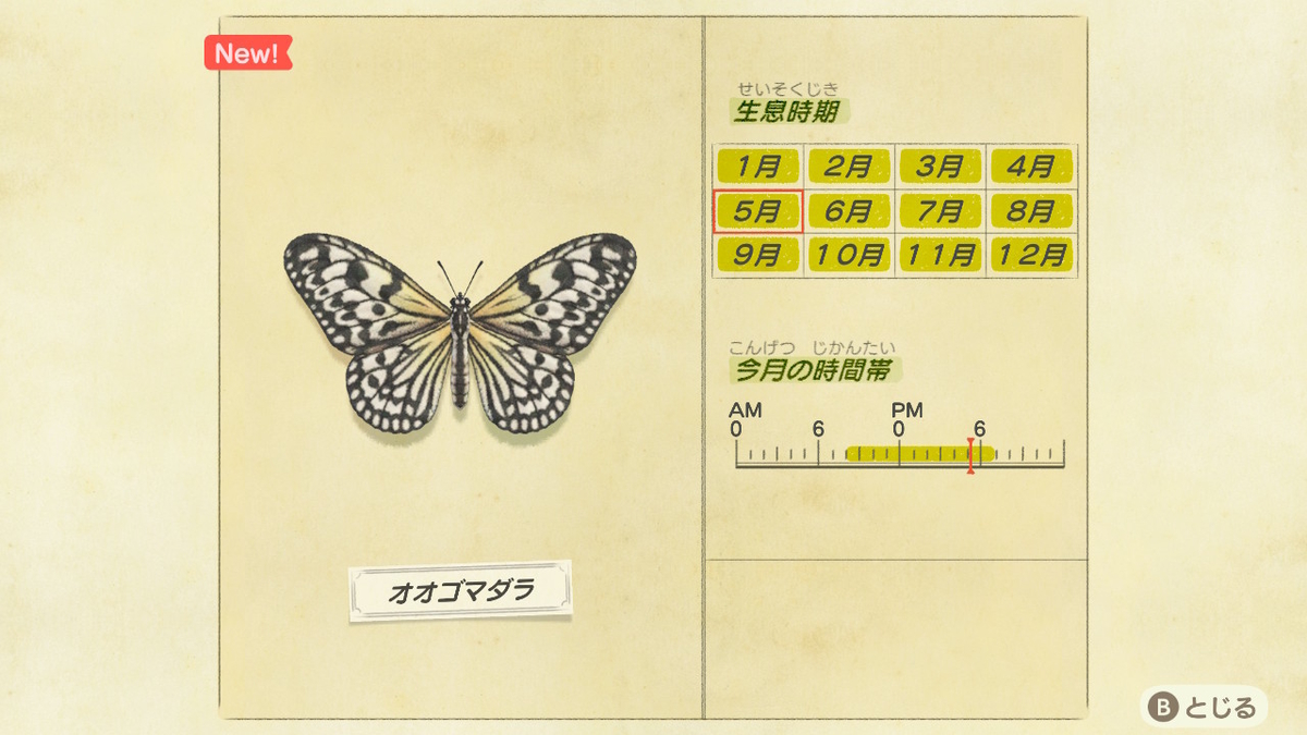 f:id:lifelog888:20200513232439j:plain