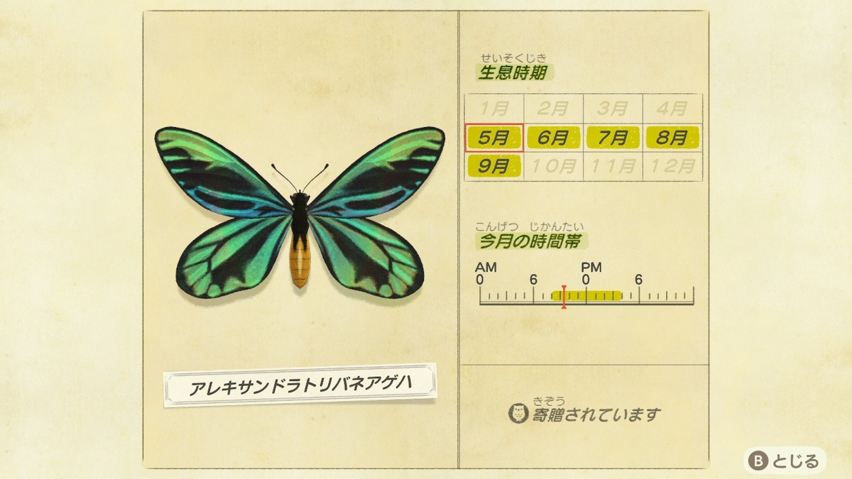 f:id:lifelog888:20200520103835j:plain
