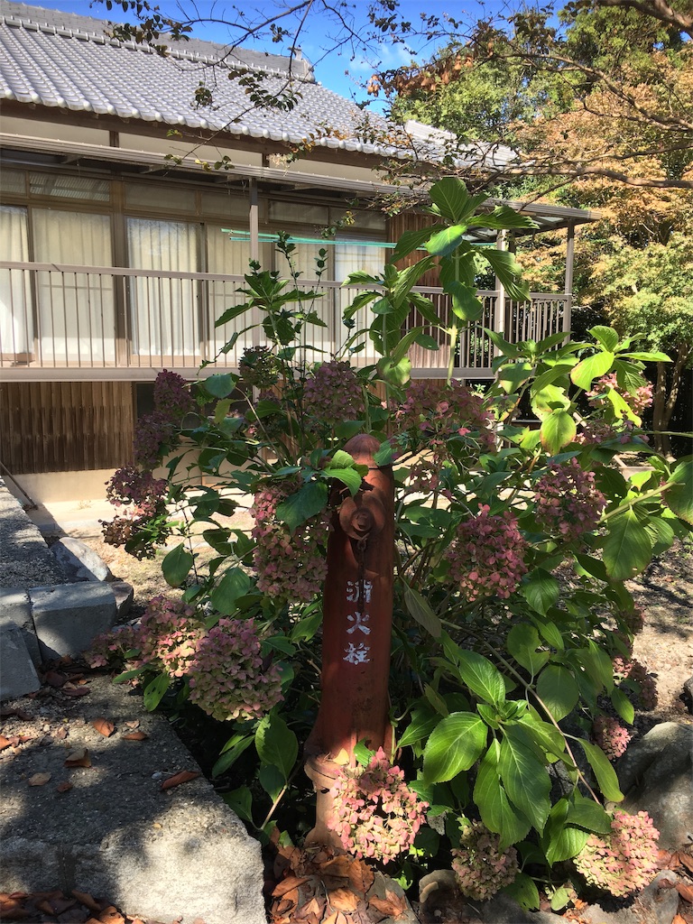 f:id:lifelogxxx:20190103141748j:image f:id:lifelogxxx:20190103141748j:image
