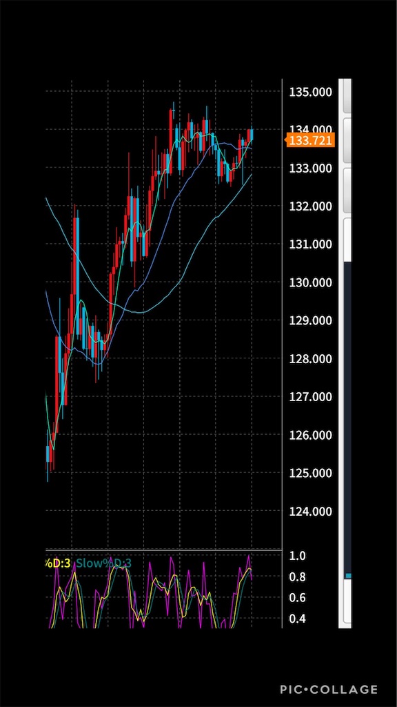 f:id:lifeofme:20200403104953j:image f:id:lifeofme:20200403104953j:image