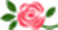 f:id:lifeplus-shop:20190914072601p:plain f:id:lifeplus-shop:20190914072601p:plain
